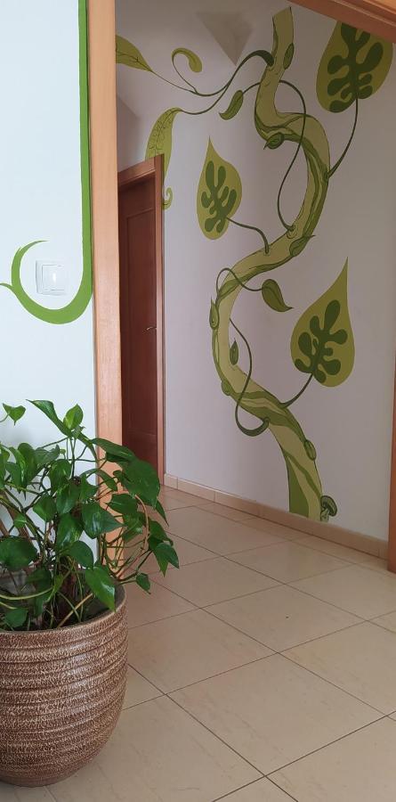 Green House Балеал Екстериор снимка